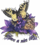ButterflyOrchids