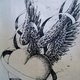 Tripti's picture