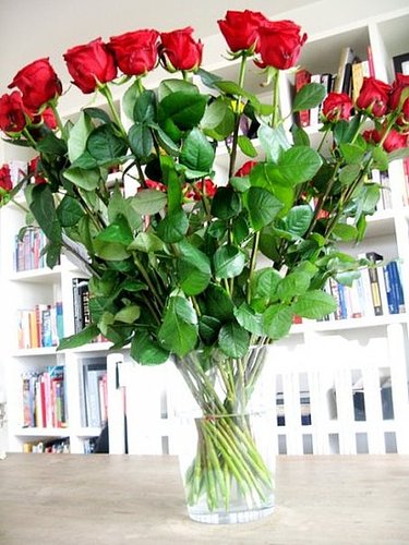 Love !