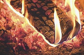 How-To: 10 Ways to Reuse Wood Ash