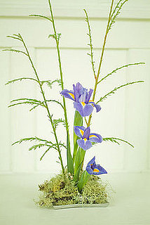 Ikebana
