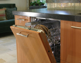 Does Your Dishwasher Match Your Cabinets?