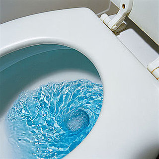 Casa Verde: Don't Flush It Away