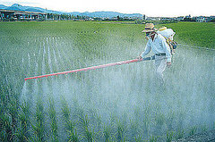 A Pesticide Produce Guide For Your Pocket