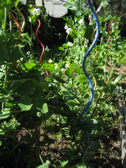 Casa Beta: Rainbow Spiral Plant Supports