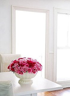 How-To: Help Carnations Make a Comeback