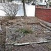 Before and After: A Brooklyn Backyard Gets Beautified