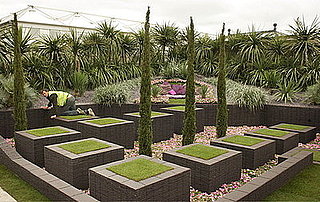 RHS Chelsea Flower Show Opens Today