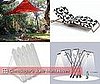 June Must Haves