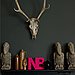 Use Salvaged and Found Objects
