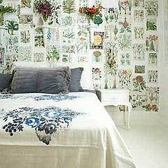 DIY: Découpaged Walls DIY: Découpaged Walls