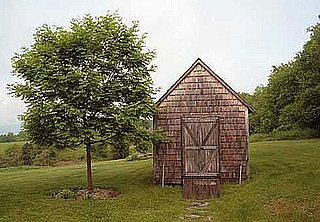 Can You Guess Who Inspired This Cabin?