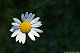 RW tara's picture