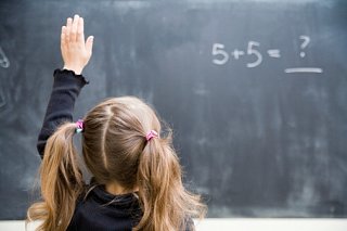 Dear Poll: Where Would Like Your Kids Educated?