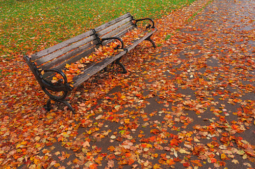 Do Tell: What's Your Favorite Part About Fall?