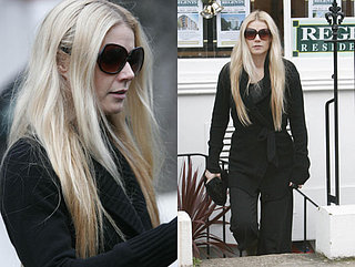 Gwyneth Worried About Screwing It Up For Her Brother