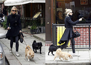 Sienna Walks Her Dogs While Plotting Her Next Hollywood Takeover