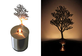 Simply Fab: Magnolia Oil Lamp