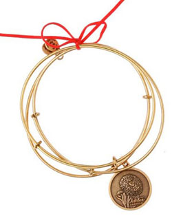 Simply Fab: Alex and Ani Bracelets of the Month 