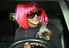 Lawmaker Tries to Keep Pets Out of the Driver's Seat