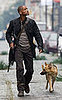 Sugar Bits — I Am Legend Breaks Box Office Record