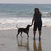 Arroyo Burro Dog Beach in Santa Barbara, CA