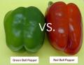 Red Pepper vs. Green Pepper