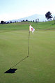 Get Physical: How About a Round of Golf?