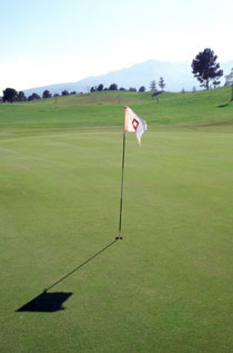Get Physical: How About a Round of Golf?