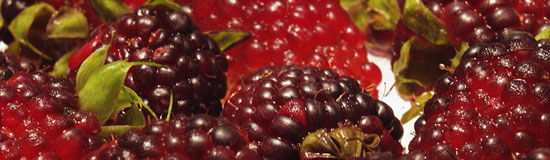 Eat Your Antioxidants Eat Your Antioxidants
