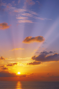 Strike a Yoga Pose:  Sun Salutation A