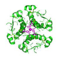 Insulin IS a Hormone Insulin IS a Hormone