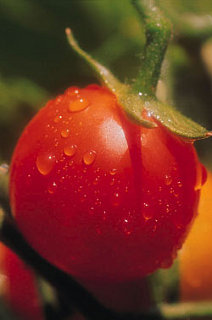 Mediterranean Diet and Allergies:  Go Nuts