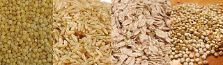 Fiber Quiz:  Grains