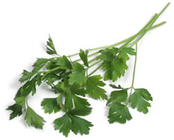 Don't Skip The Garnish: Italian Parsley Is Loaded With Good Things