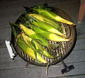 Healthy BBQ:  Grilled Corn
