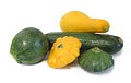 It's Summer Squash Time!