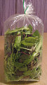 How To Store Salad Greens