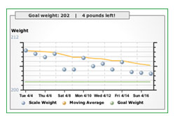 Track Your Progress Online: The Google 15