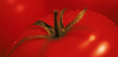 Flavonoid Alert!!!! Organic Tomatoes May Be Better For Your Heart
