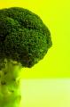 Rise Up and Demand Fresh Veggies