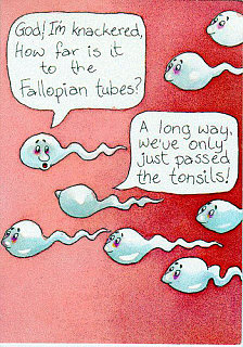 Semen:  What Do You Know?