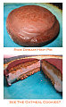 Rice Dream Ice Cream: Dairy and Cholesterol Free 