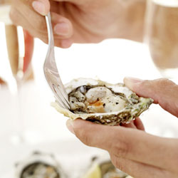 Oysters:  More Than Sexy 