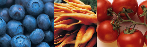 Which of These Foods Do You Eat Daily? 