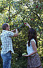 Get Physical: Pick Your Own Apples 