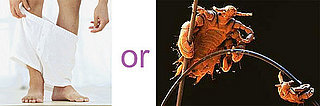 Which Is Worse?  Streaks or Crabs 