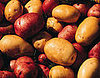 5 Things: Go Organic With These Foods