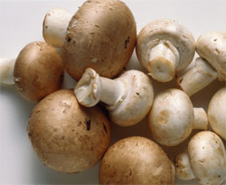 Foods to Stop Avoiding: Mushrooms