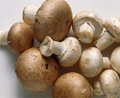 Foods to Stop Avoiding: Mushrooms